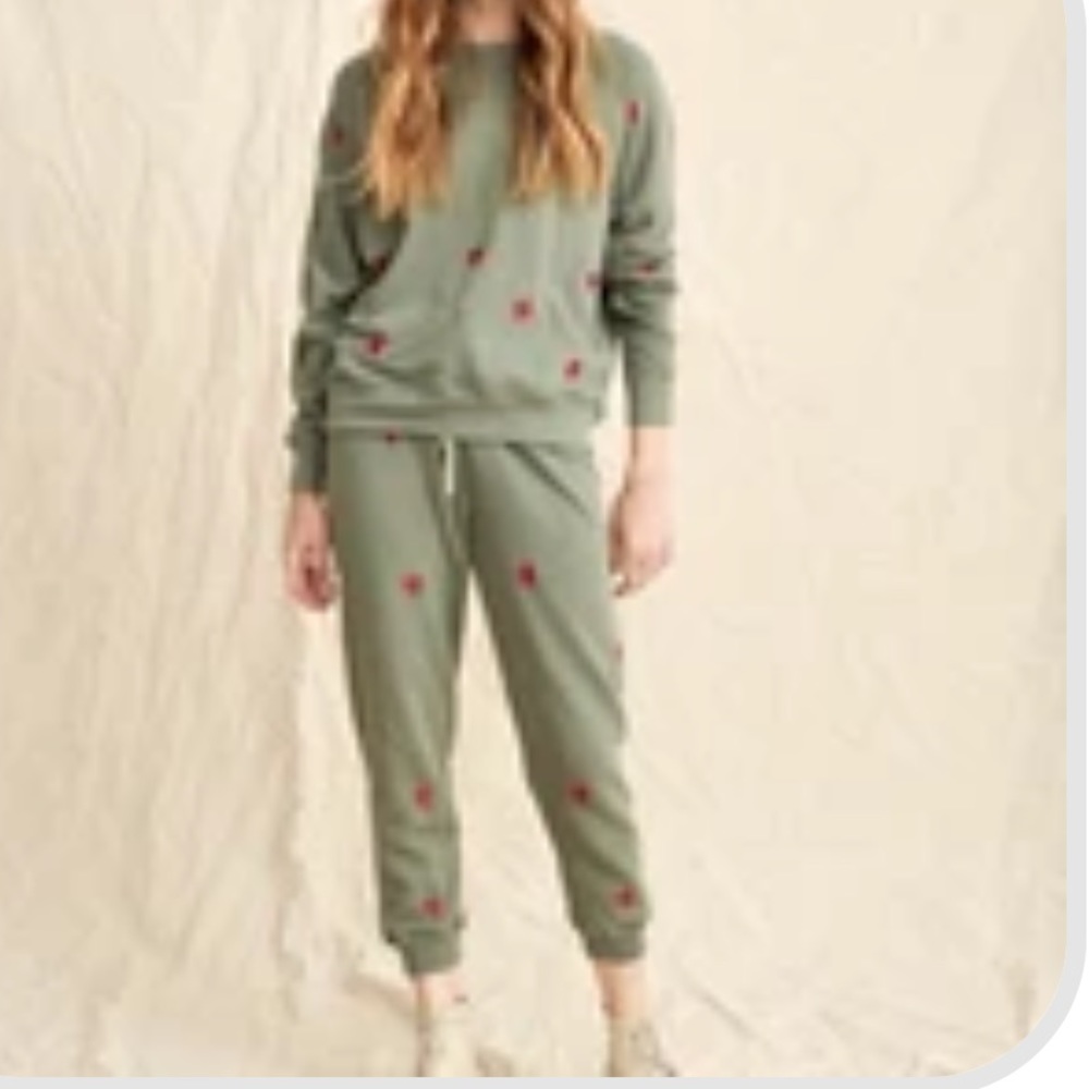 the great - cropped sweatpants
